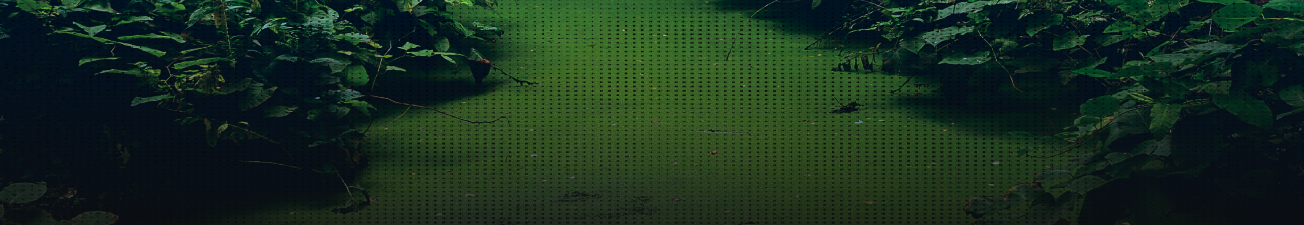 Beach Scene with Dither